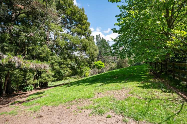 47D Poplar Lane Matangi_34