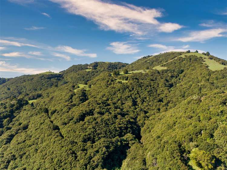 184 Blue Duck Valley Road Seaward Valley_2