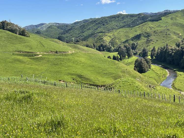 104 Tapuae Road Honikiwi_43