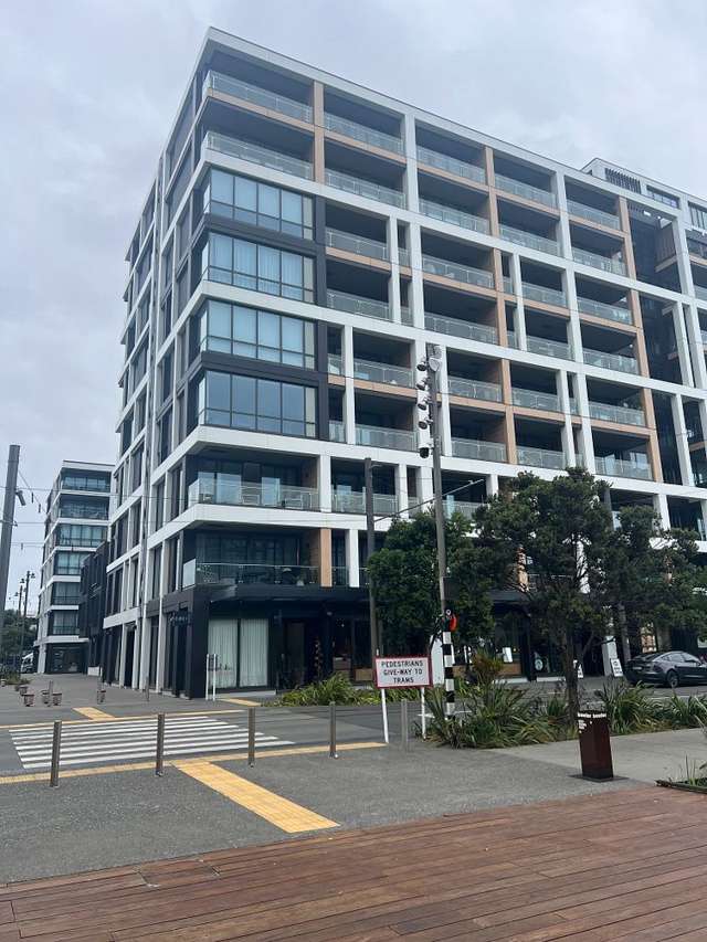 Beautiful modern apartment - Wynyard quarter