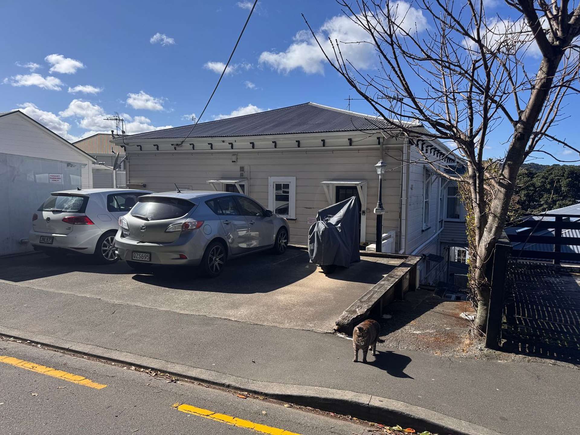 3B McKenzie Terrace Te Aro_0