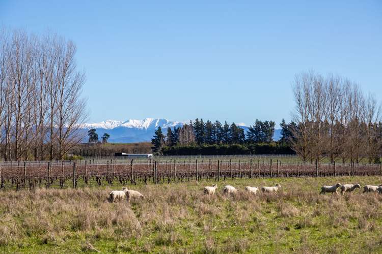 Lot 3 Dakins Road East Taratahi_5