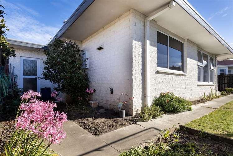 75a Howick Road Redwoodtown_12