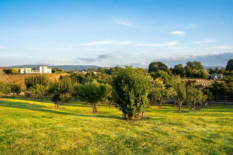 31 Glenroy Place Tikitere_36