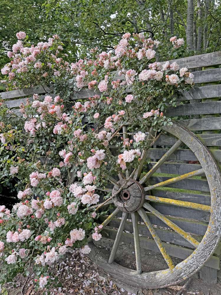 2195 Old West Coast Road Kirwee_15