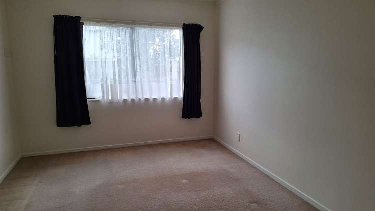 3 Macalister Place Miramar_13