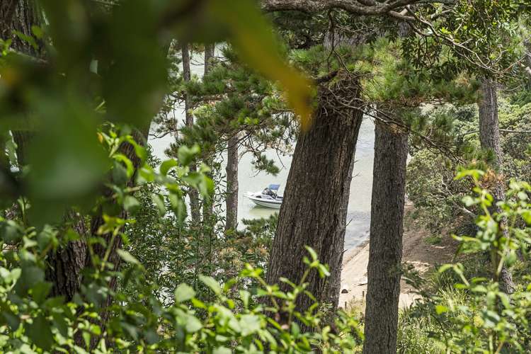 35 Jacaranda Avenue Beach Haven_33