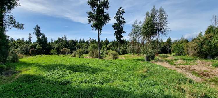 21 Mcgloin Road Bruce Bay_13