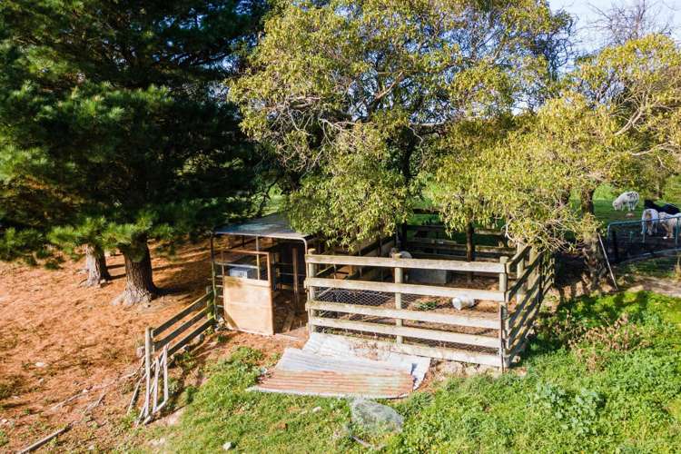 176 Point Bush Road Waimate_24