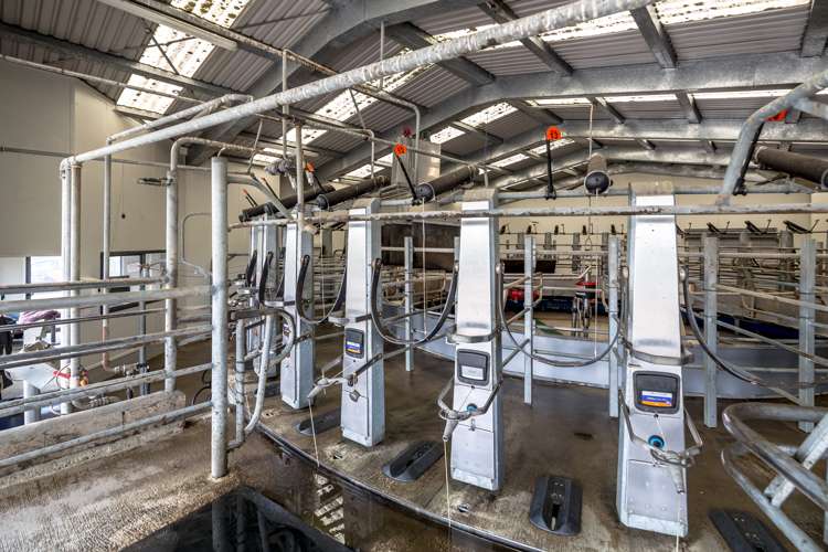 125 Larsen Road Eketahuna_7