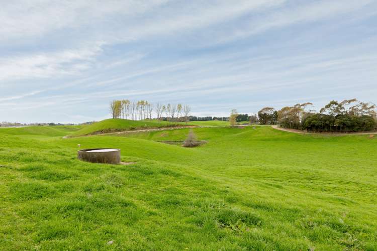 936 Pongakawa Bush Road Pongakawa_19