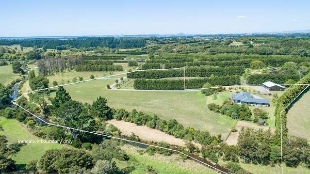 Avocado orchard with development potential in Katikati is on the market