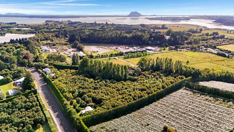 138 Te Puna Road Te Puna_18