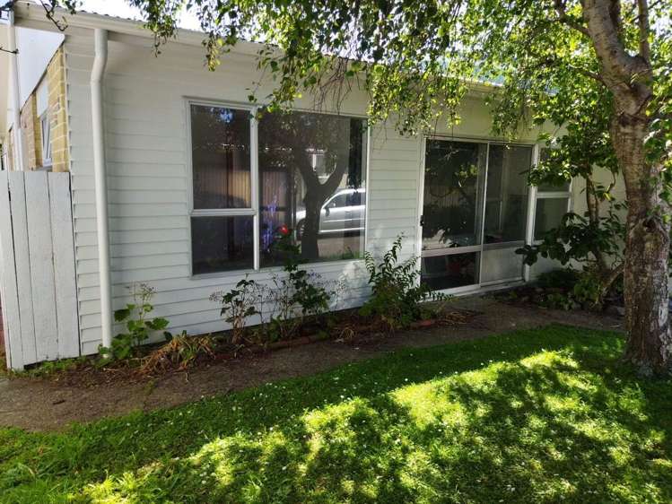 2/44 Devonshire Road Miramar_7