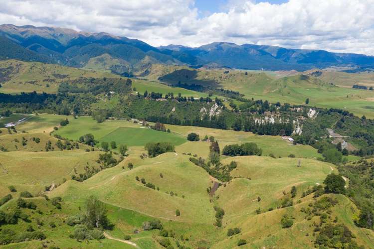 131 Rangitane Road Mangaweka_23