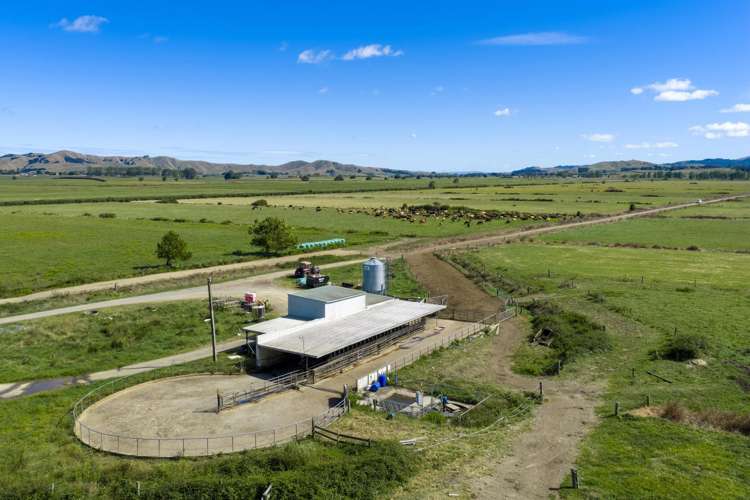 331 Kneebone Road Orini_16