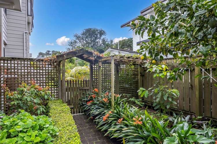 8 Ander Place Takapuna_11