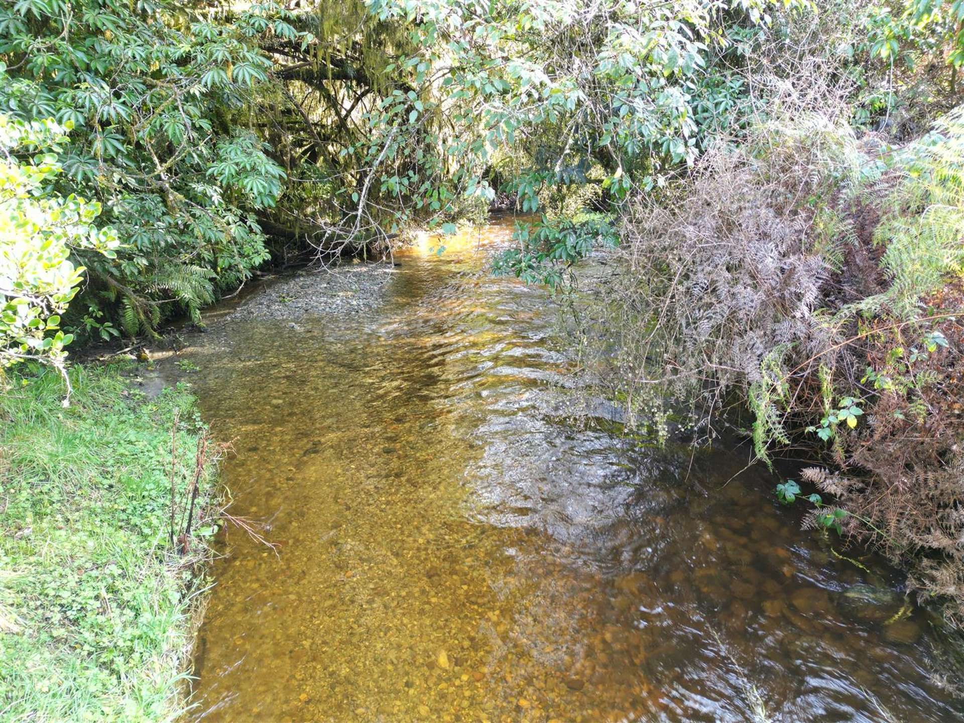 Haupiri Road, Haupiri Moana_0