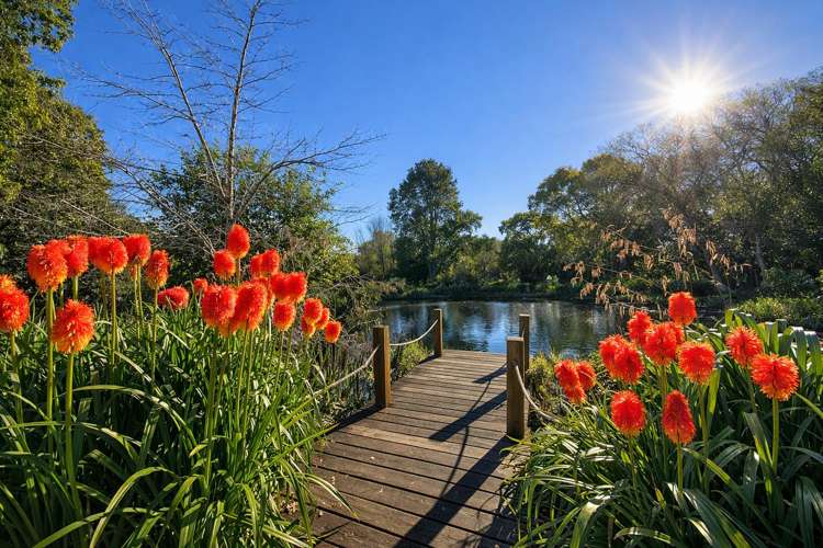 12 Ireland Road Waipawa_14