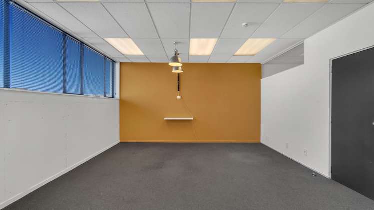 154 Carlyle Street Sydenham_13