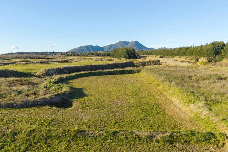60 Wharariki Rise Wharewaka_7