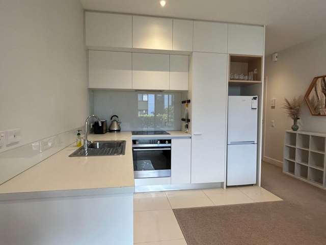 7/117 Buckley Avenue Hobsonville_1