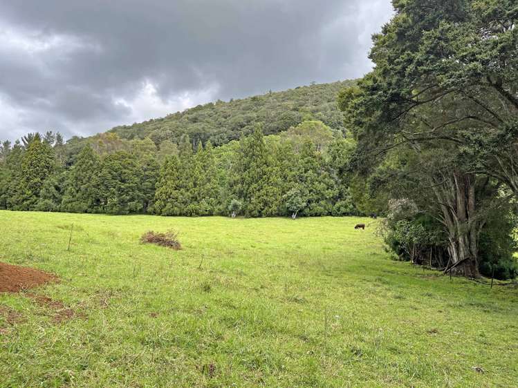 37 Charles Walton Road Maungatapere_22