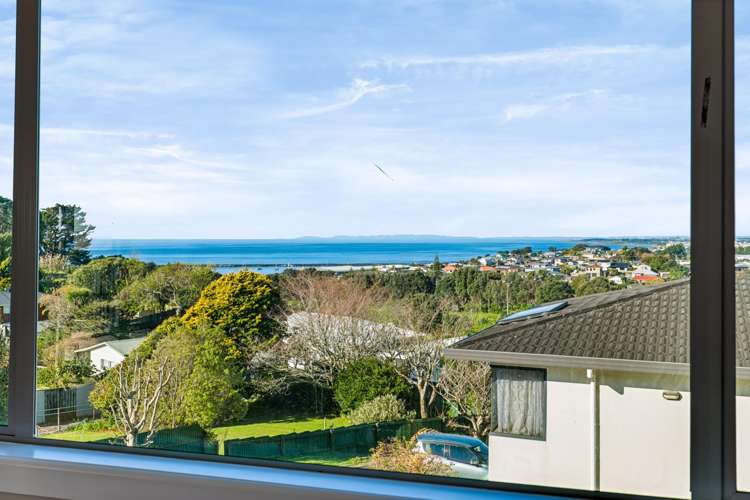 1/113 Pioneer Road_5