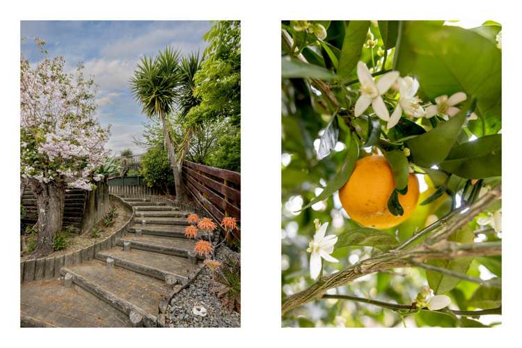 16 Langstone Street Welcome Bay_17