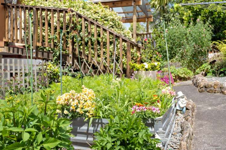 49 Ambler Avenue Glen Eden_13