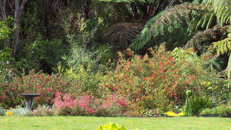 53 Kitewaho Road Swanson_57