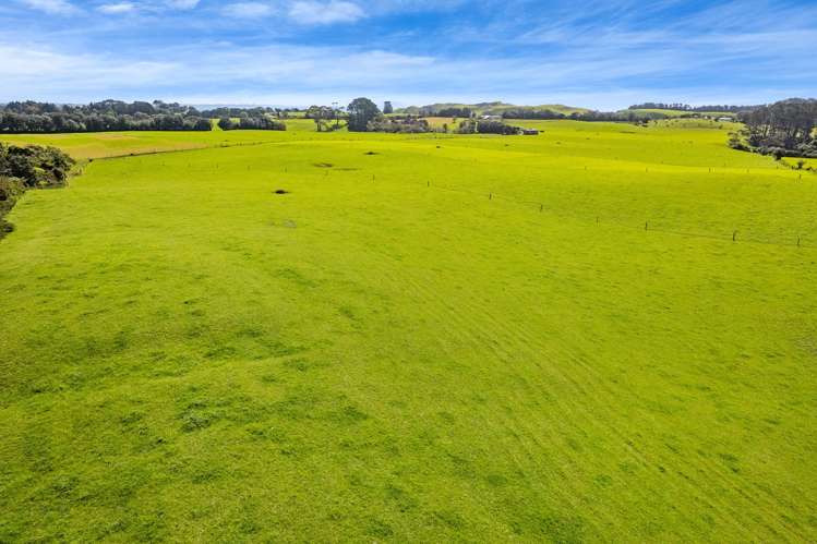 226 Pukearuhe Road Mimi_9