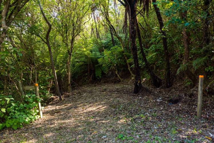 Tumbledown Bay Road Port Underwood_4