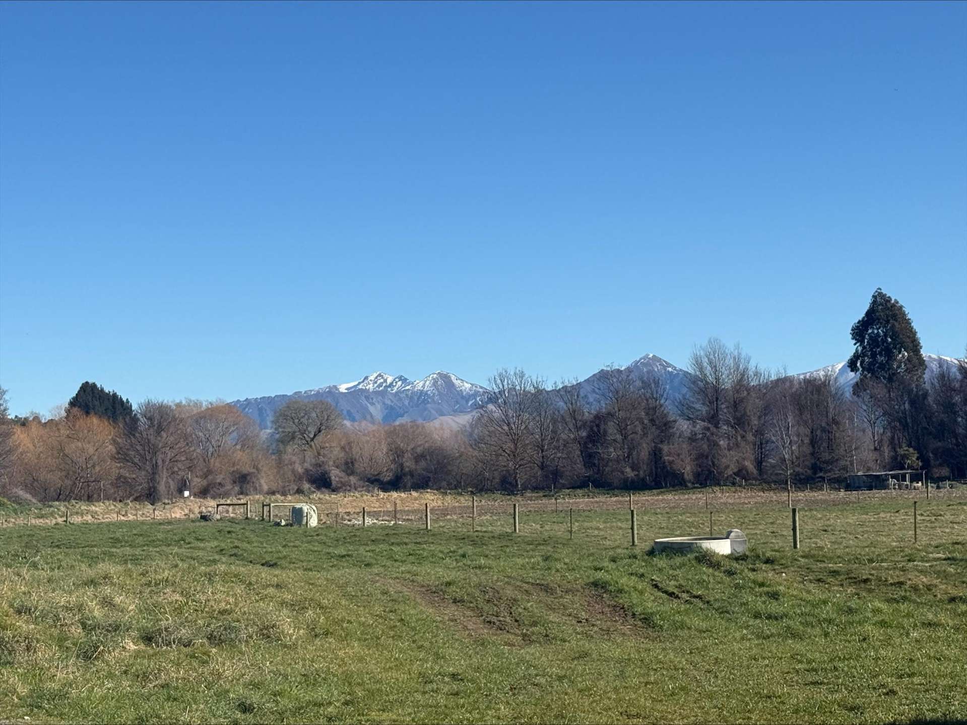 65 Woodbury Road Geraldine_0