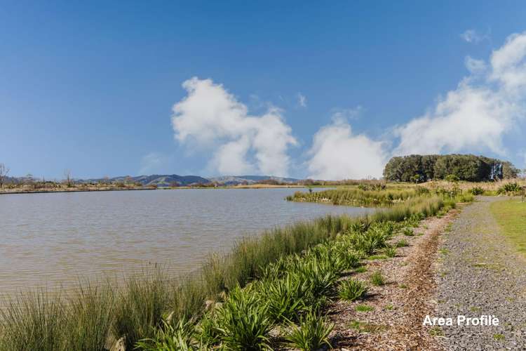 349 Rimu Street Te Kauwhata_27
