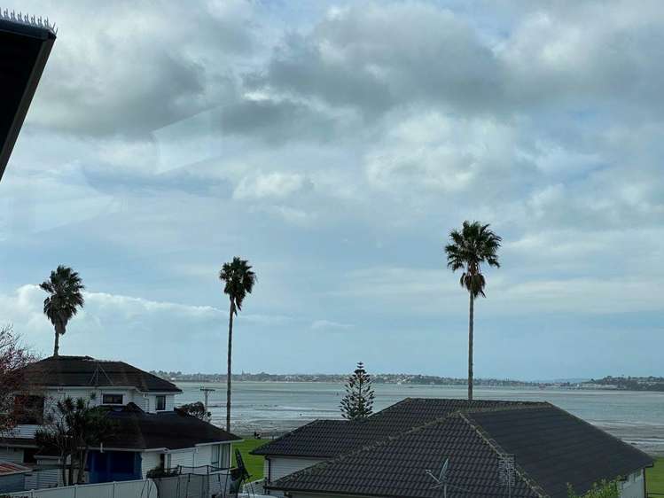 6 Manahi Lane Panmure_5