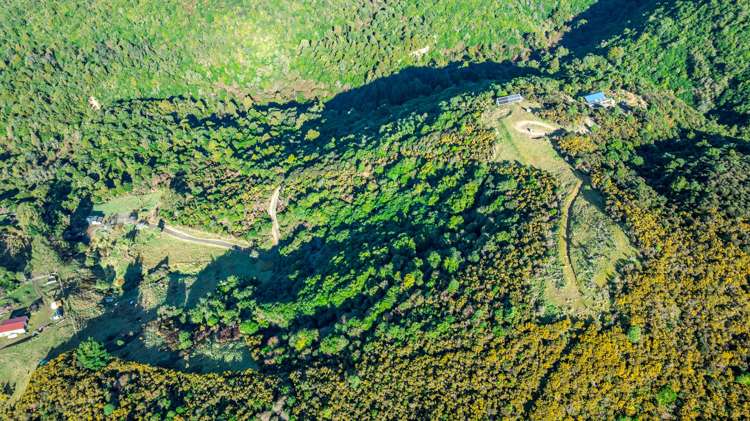 439 Engelbrechts Road Hunter_46