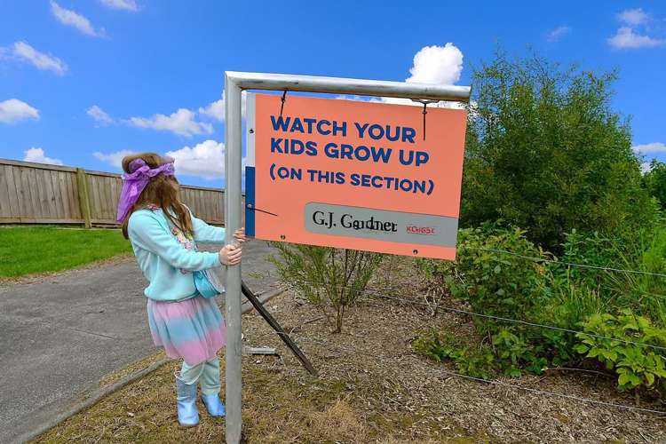 5 A, B, C Chatham Avenue Paremoremo_6