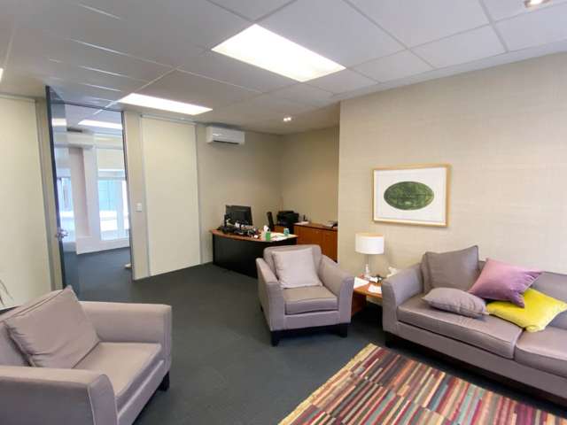 11 Cheshire Street Parnell_2