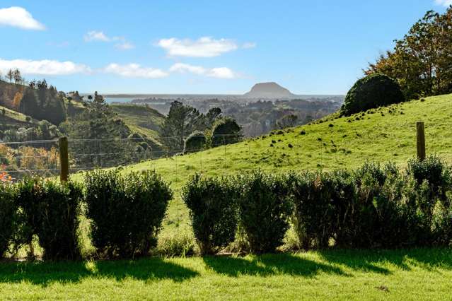 164C Crawford Road Minden_4