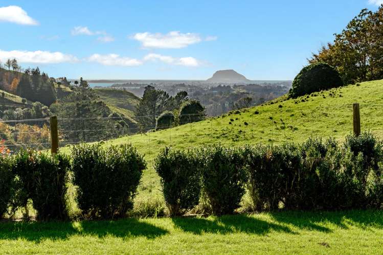 164C Crawford Road_4