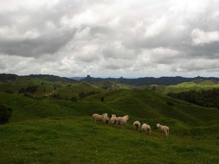 Mahoe Road Waitomo_15