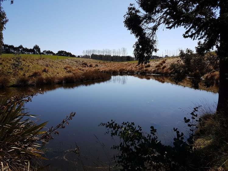 590 Gillespie Road Manapouri_13