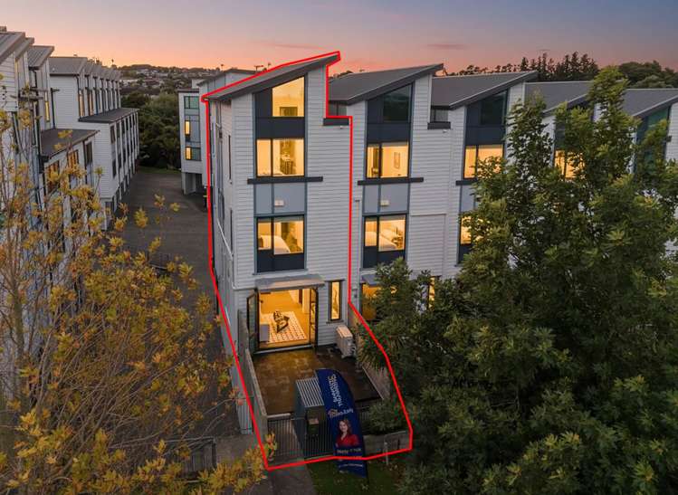 313 Murphys Road Flat Bush_2