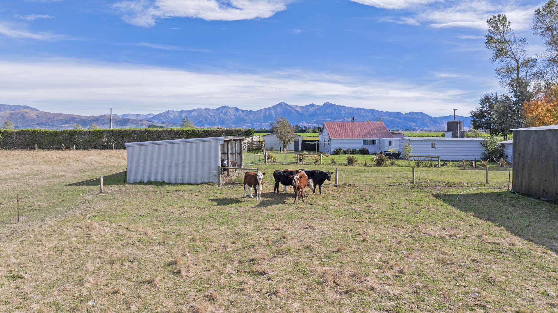 98 Searles Road Sheffield Selwyn Rural Property For Sale One Roof