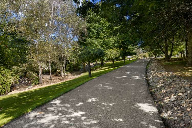 Maungatapu Road Rai Valley_17