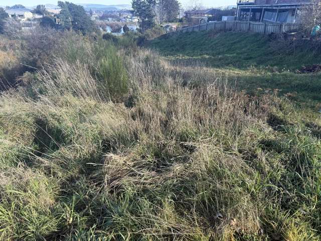 28 Lowestoft Street Balclutha_3