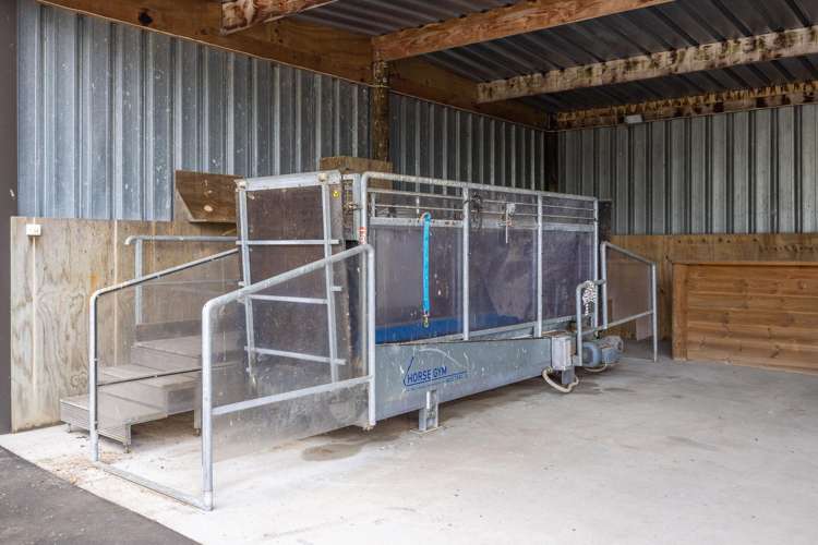 4602A State Highway 29 Matamata_17