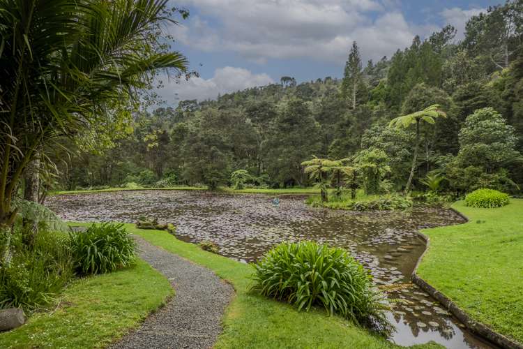 586 Tapu Coroglen Road Coromandel Forest Park_6