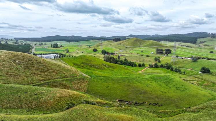 880 Kopuku Road Maramarua Forest_7